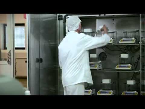 Emulsifiers, stabilizers & know-how to put to work - ice cre...