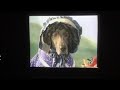 Sesame Street William Wegman To Market Nursery Rhymes 1999