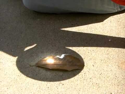 Dentons House & burning stuff 3/6