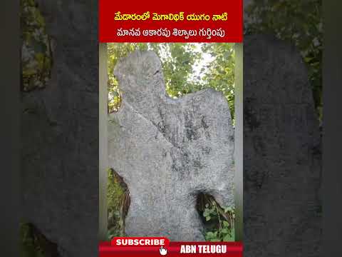 మేడారంలో మెగాలిథిక్ యుగం నాటి మానవ ఆకారపు శిల్పాలు గుర్తింపు | #medaram #shorts | ABN Teluguvoice