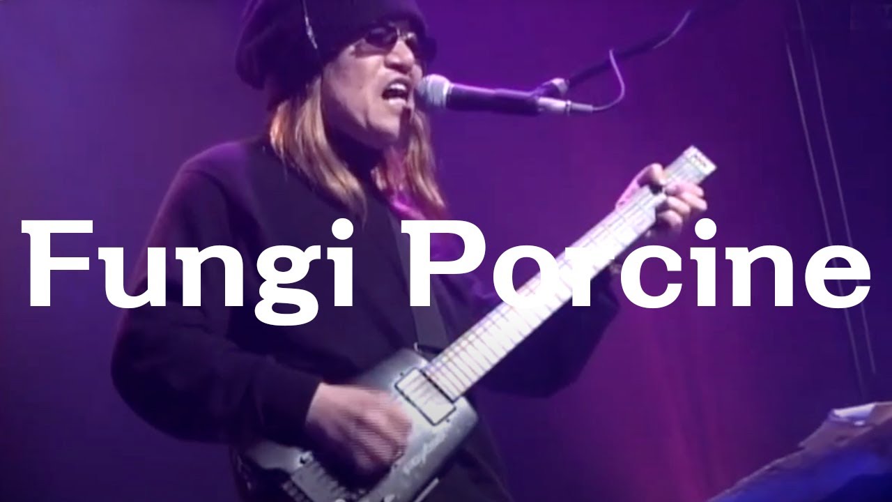 「Fungi Porcine」with 富岡"Grico"義広 Dr