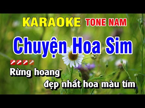 Chuyện Hoa Sim Karaoke Tone Nam Nhạc Sống | Karaoke Hoàng Luân