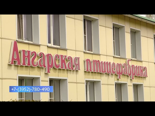 Ангарская птицефабрика приглашает новых работников