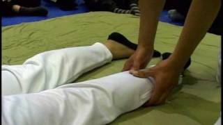 Shiatsu Workshop for Prone Position by Akitomo Kobayashi & Yuji Namikoshi 5