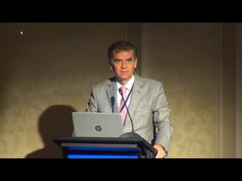 The Relation between Monetary Policy and Financial-Stability Policy. Discussant: Rodrigo Vergara