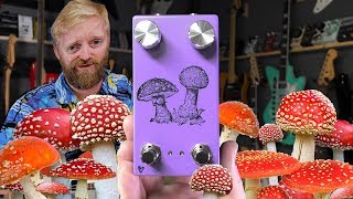 Video thumbnail for Farm Pedals - Fly Agaric - Smooth & trippy double LFO phaser by 60 Cycle Hum