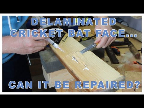 Can it be repaired? Cricket bat face delimitation. Keith Dudgeon Ktulu Cricket bat repair.