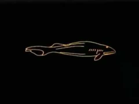 Evolução da vida na Terra, de moléculas aos humanos, Cosmos  Carl Sagan