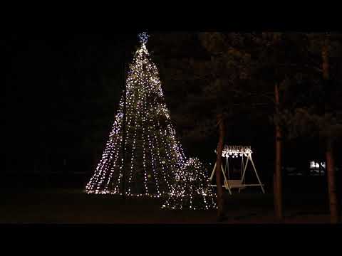 Agluonėnų sodo įžiebimas 2020