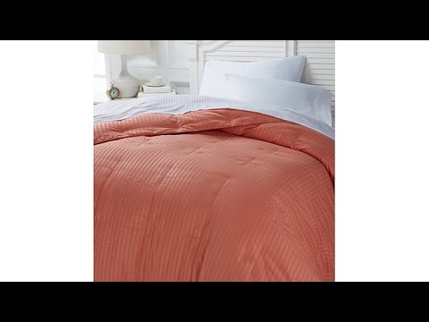 Concierge Collection Platinum Down Comforter  Twin