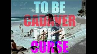 Los Campesinos! // I Broke Up In Amarante (Lyrics)