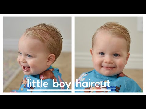 Little Boy Haircut