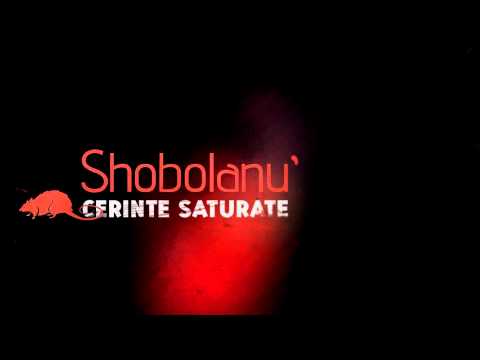 Shobo - Cerinte Saturate (prod. FLG)