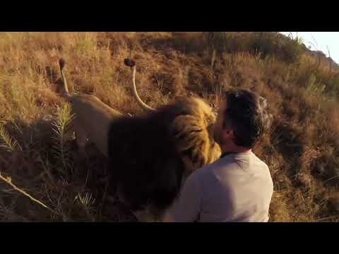 Freshdance Project - Lion (Official Music Video)