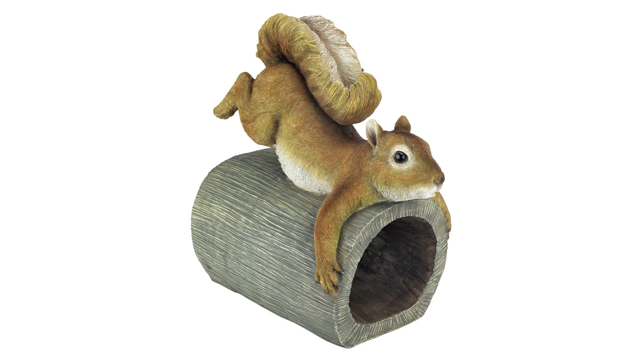 Crash the Squirrel Gutter Guardian Downspout Statue Video