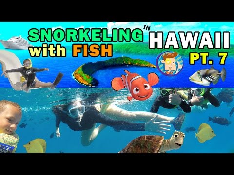 SNORKELING IN HAWAII w/ Ocean Water Slide! Swim w/ Fish @ Molokini (FUNnel Vision Trip Maui Part 7)