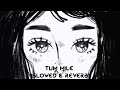 Tum Mile Slowed Reverb Slowed X Reverb