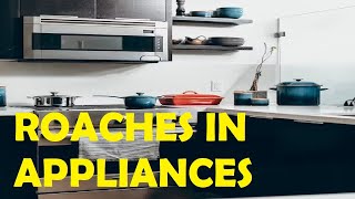 how to get rid of roaches in kitchen appliances
