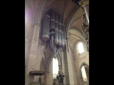 Cathedral of Saint Peter (Trier Dom) - O