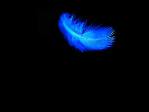 Koholintaz - Blue Feather (Voice Version)