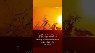 Download lagu 414 Al Quran surah verse recitation tilawat #alquran #quran #surah #verse #recitation #tilawat #zain mp3 Download lagu 414 Al Quran surah verse recitation tilawat #alquran #quran #surah #verse #recitation #tilawat #zain mp3