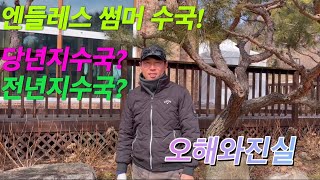 엔들레스 썸머 수국 이것만은 알고 키우자! 전년지?당년지?