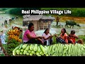 This Is What It S Like Living In The Village Real Philippine Village Life