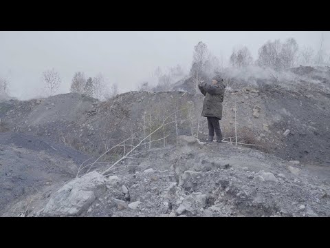 trailer