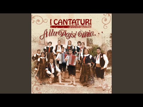 Tarantella Singinitara