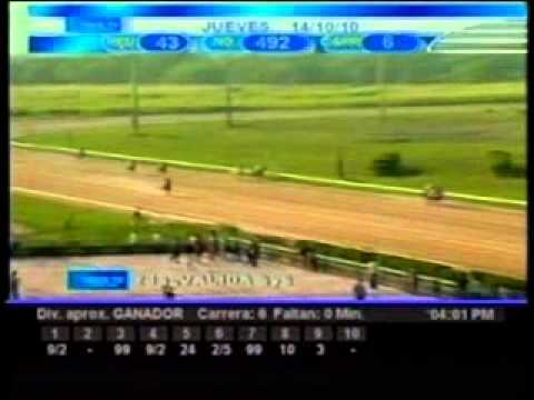 Resumen jueves 14 de octubre 2010 - Valencia