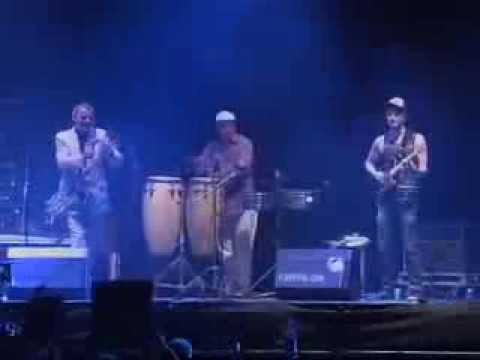 Sam Alexander with Pigbag at Benicassim -  'Papa's Got A Brand New Pigbag'