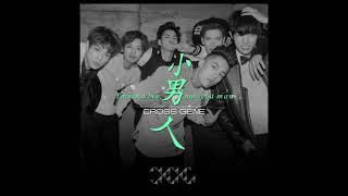 小男人  (Young Man, aka I'm Not a Boy, Not Yet a Man)