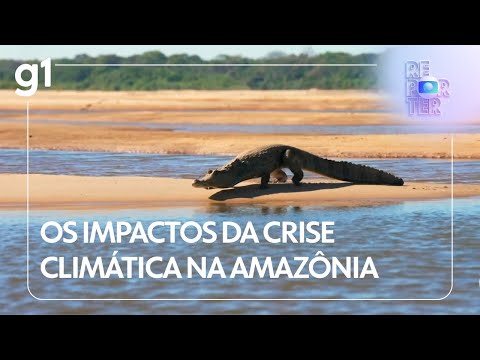 GLOBO REPÓRTER: os impactos da crise climática na Amazônia