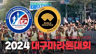 2024 대구마라톤대회
