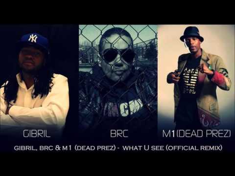 Various artists from around the world speaks on working with Brc from Croatia