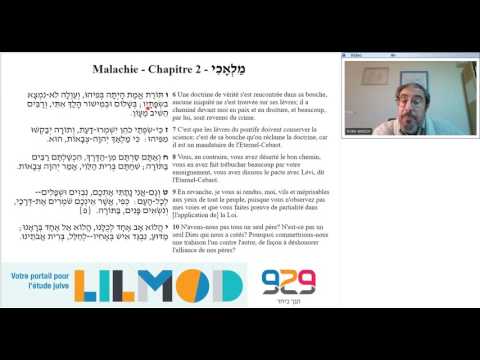 929 Rony Akrich -Malahi fin