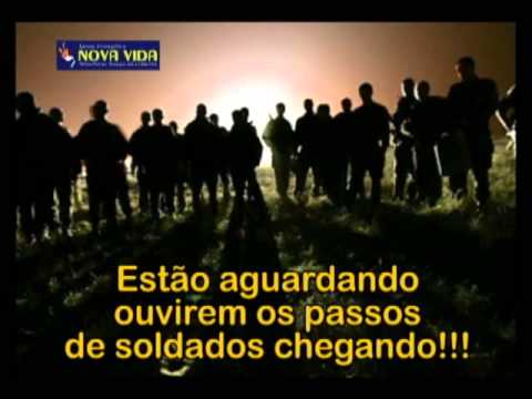 Vida video