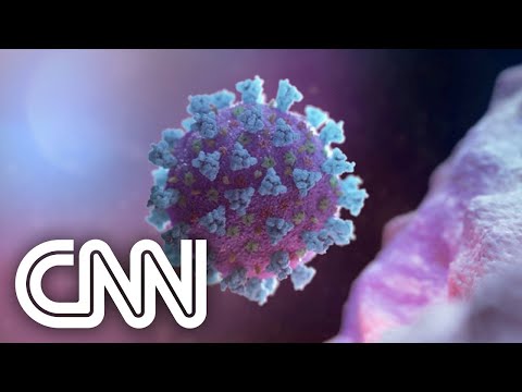 34 cidades de São Paulo não registraram mortes por Covid-19 | EXPRESSO CNN