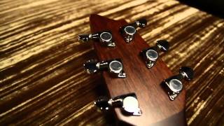 Video thumbnail for Breedlove Guitars: D250/SMe, FS Acoustic Guitar by Breedlove Guitars