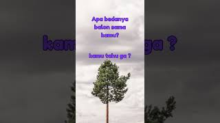 Download lagu Apa bedanya balon sama kamu? #gombal mp3