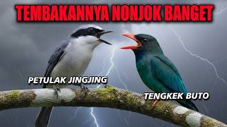 Download lagu TEMBAKAN NONJOK PETULAK JINGJING VS TENGKEK BUTO PANJANG mp3