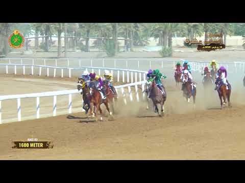 الشوط الثالث - السباق السابع عشر- الرحبة 14/03/2019 Race 3-17th meeting