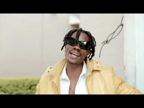 Flex zm mpwilikisha# Visiolizer# 