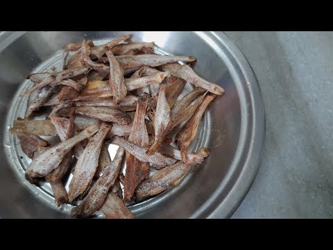 download lagu mp3 mp4 Dry Fish Recipe, download lagu Dry Fish Recipe gratis, unduh video klip Dry Fish Recipe