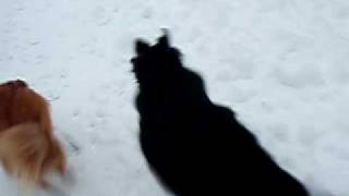 Snow06