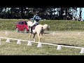 Barney 2024 Dressage