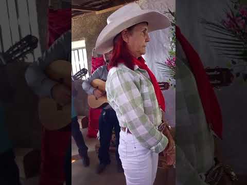 FOLIA DE REIS DE CRIXÁS - GOIÁS, JUNHO DE 2026.