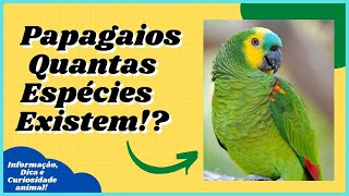 [Veja Dicas, Curiosidades e Informaes Sobre Animais de Estimao] #shorts