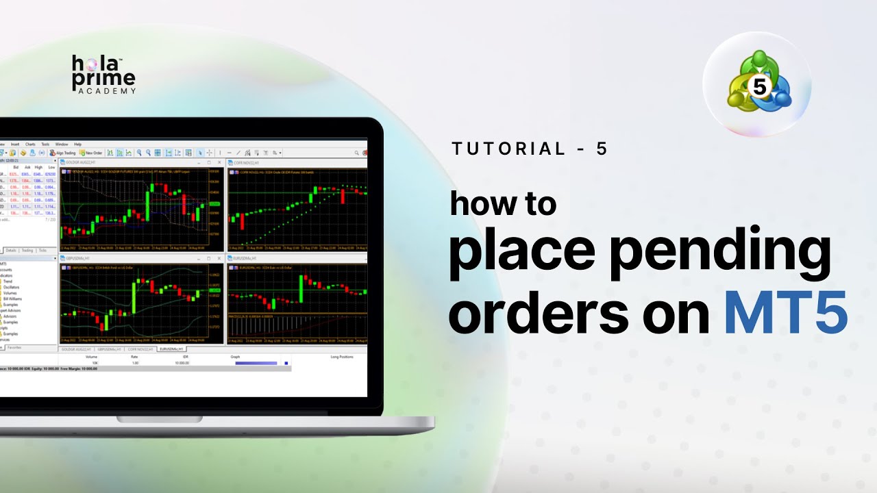 So platzieren Sie Pending-Orders in MetaTrader 5 (MT5) | Eine einfache Anleitung