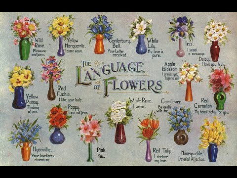 The Language of Flowers